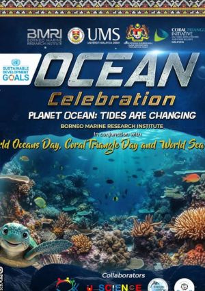 poster for Ocean Celebration Open Day