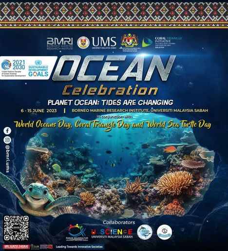 activity poster for Ocean Celebration Open Day