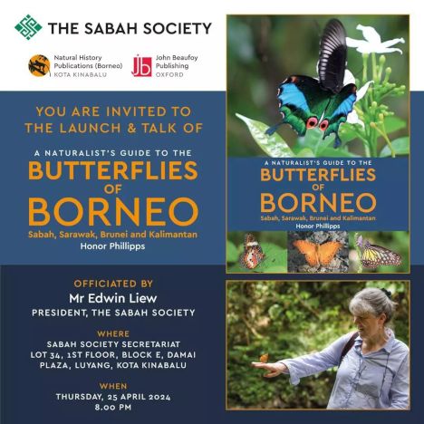 activity poster for Book launch of A naturalist's guide to the butterflies of Borneo