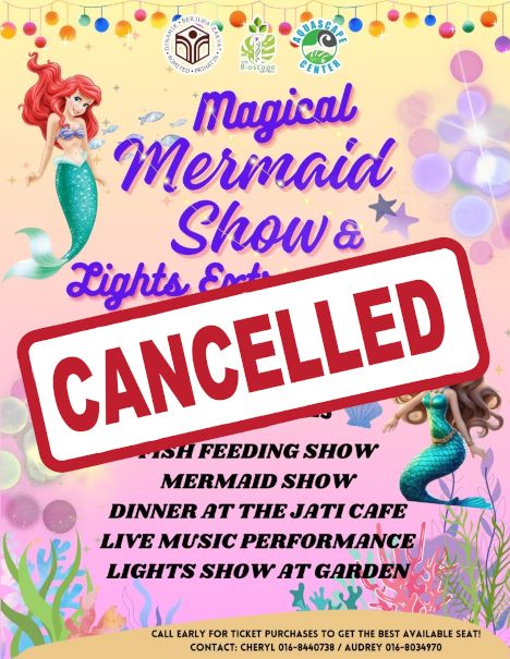 activity poster for Magical Mermaid Show & Lights Extravaganza