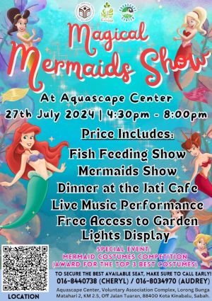 poster for Magical Mermaid Show