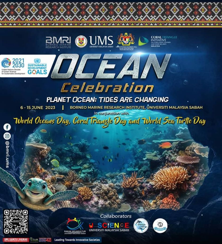 Poster for Ocean Celebration Open Day