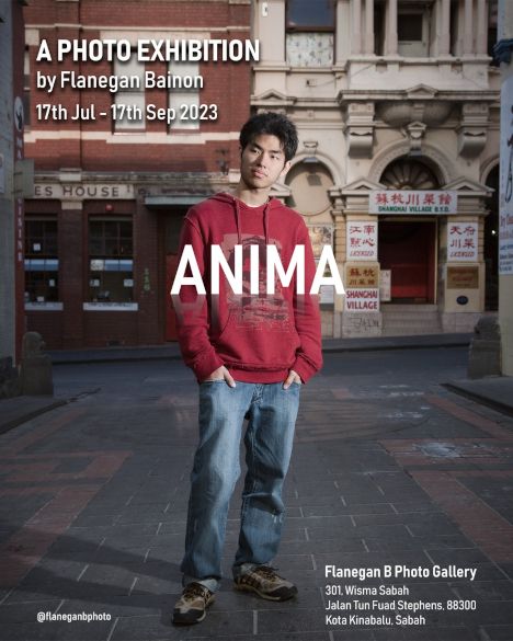 Poster for Anima