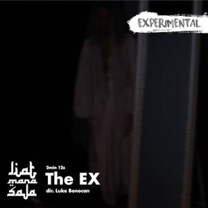 event poster for The EX