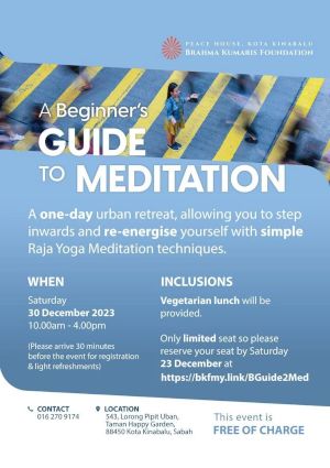 poster for A Beginner's Guide to Meditation